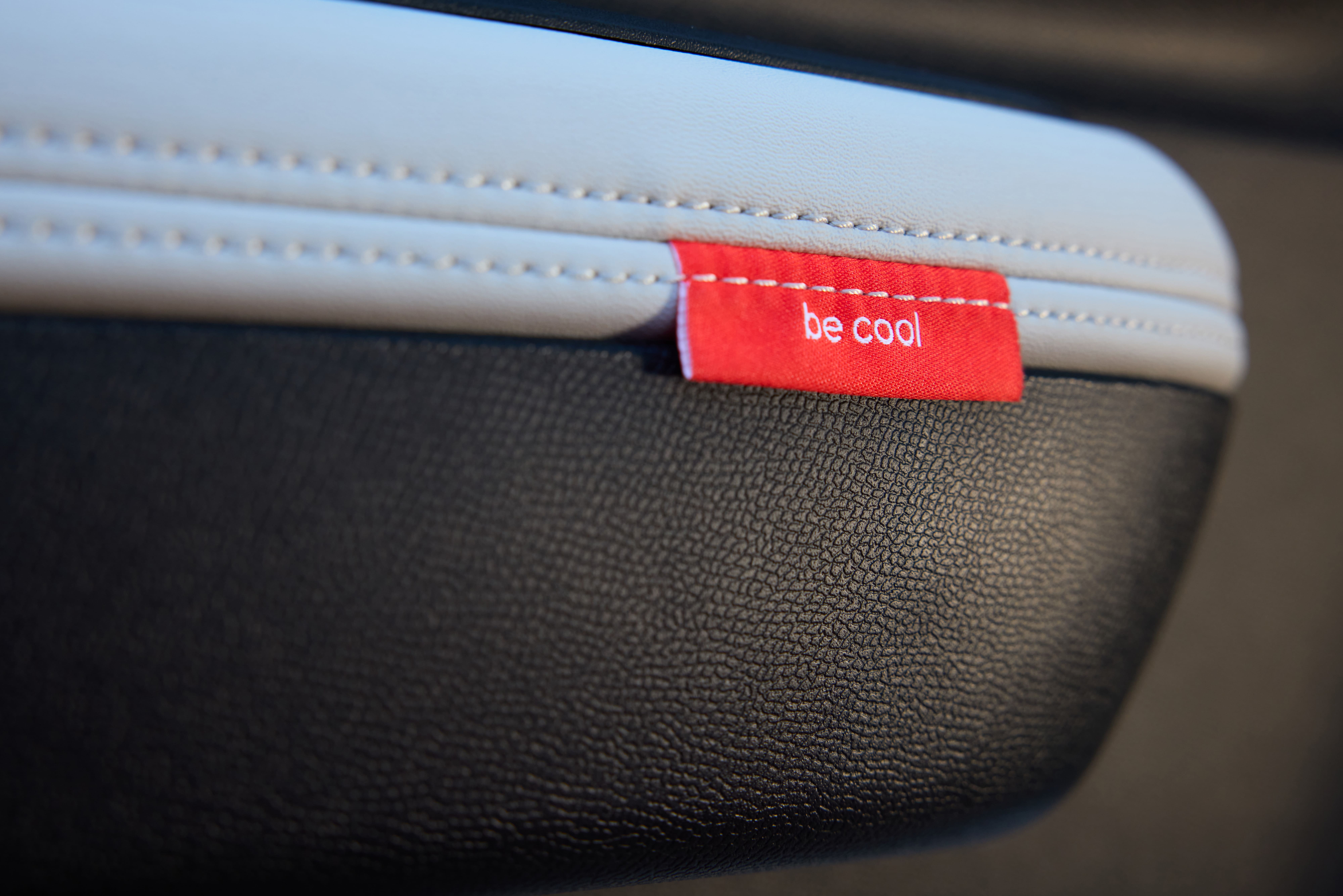 Citroen E -C3 - Interieurdetails